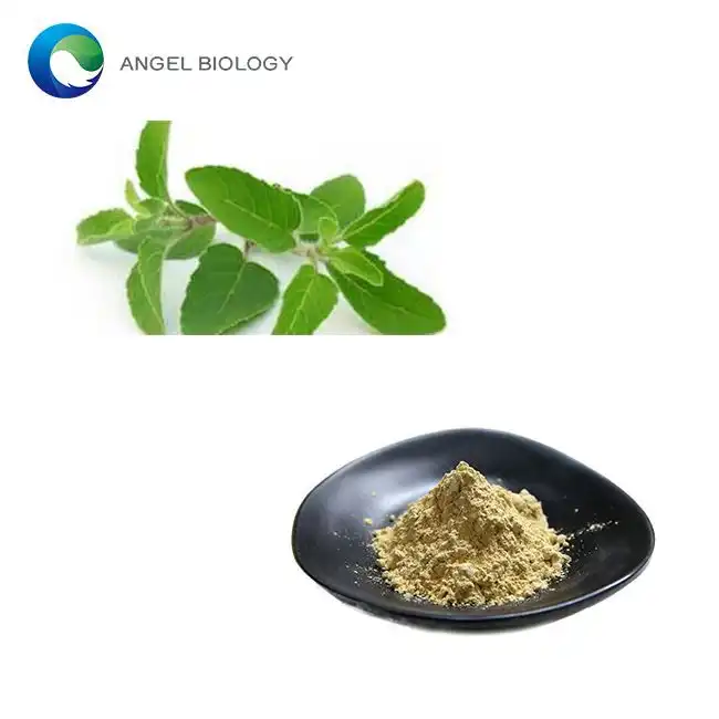 Is Holy Basil Extract Powder the Natural Anti-Inflammatory You Need?